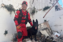 BOMBEIROS CÃES EM DESASTRES