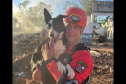 BOMBEIROS CÃES EM DESASTRES
