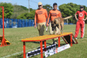 BOMBEIROS CÃES EM DESASTRES