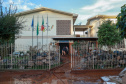 De limpeza de escola a salvamento de animais: a rotina solidária da equipe do IAT no RS