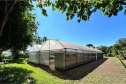 IAT CENTRO DE EDUCAÇÃO AMBIENTAL BURITI