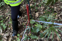 Obra da Ponte de Guaratuba inclui monitoramento da flora para preservação do meio ambiente