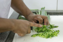 ALIMENTOS