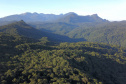 INOVAÇÃO MARINGÁ