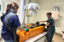 TAMANDUA