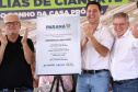 cianorte