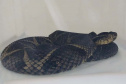 SER