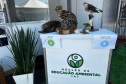 IAT promove a inclusão social e ambiental por meio dos jardins sensoriais