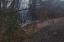Caminhões-pipa fornecidos pelo Estado ajudam a combater incêndio florestal em Cianorte