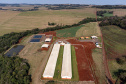Suinocultor do Oeste do Paraná instala biodigestor e realiza o sonho de produzir com sustentabilidade