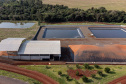 Suinocultor do Oeste do Paraná instala biodigestor e realiza o sonho de produzir com sustentabilidade