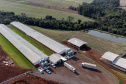 Suinocultor do Oeste do Paraná instala biodigestor e realiza o sonho de produzir com sustentabilidade