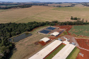 Suinocultor do Oeste do Paraná instala biodigestor e realiza o sonho de produzir com sustentabilidade