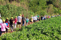 CAMINHADA