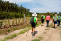 CAMINHADA