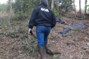 1ª Operação de Subdivisão de Imóvel Rural organizada pelo IAT termina com R$ 20,1 milhões em multa
