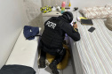 PCPR prende 57 pessoas em três megaoperações simultâneas contra o crime organizado
