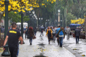 SESA ORIENTA ALERGIAS PRIMAVERA