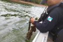 Nova Portaria, em razão da estiagem no Estado, proíbe a pesca em quatro Bacias Hidrográficas do Paraná