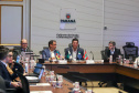 Reunião técnica dos integrantes do Codesul