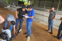 SESA CAPACITA DENGUE