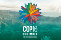 IAT COP 16