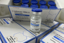 Paraná deve receber nova remessa com 96.600 doses de vacina contra a Covid-19