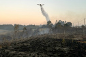 Incêndios florestais no Paraná caem 57% entre a primeira quinzena de setembro e outubro