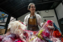 Tridimensionalidade do fio: conheça Ana Beatriz Artigas, a nova residente  artística do Museu casa Alfredo Andersen