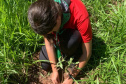 Ações elaboradas pelo IAT no Estado recuperaram mais de 6 hectares de mata ciliar em Áreas de Proteção Ambiental (APP)
