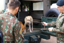 IAT CASTRAPET