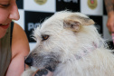 FILÓ
