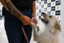 FILÓ