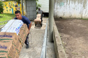 FUNDEPAR ENTREGA QUINTA REMESSA ALIMENTOS