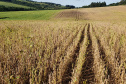 Os municípios do Paraná em situação de emergência por adversidades climáticas contaram em 2024 com a ajuda do Fundo Estadual para Calamidade Pública (Fecap). Ao todo 15 prefeituras receberam valores entre R$ 35 mil e R$ 6,7 milhões para auxiliar na assistência às famílias afetadas por enxurrada ou pela estiagem que levou o governador do Estado a decretar situação de emergência em todo Paraná.