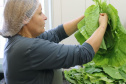  Infraestrutura, alimentação e mais: Educação do Paraná avança com investimentos e projetos inovadores