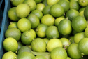 FRUTAS