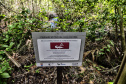 IAT EDUCAÇÃO AMBIENTAL ILHA DO MEL