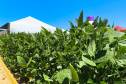 Agroshow Copagril, em Marechal Cândido Rondon