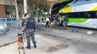 PMPR apreende 19 quilos de maconha na rodoviária de Curitiba