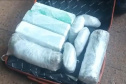 PMPR apreende 19 quilos de maconha na rodoviária de Curitiba