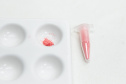 POLÍCIA CIENTÍFICA - COCAÍNA ROSA