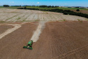 BOLETIM AGRO FEIJÃO