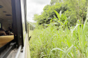 -Estrada de Ferro Paranaguá-Curitiba celebra 140 anos de história, desenvolvimento e turismo