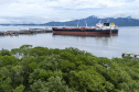  Porto de Paranaguá movimentou 72% da carga nacional de óleo de soja em janeiro