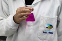 Composto por três laboratórios, a estrutura do IAT faz análises regulares de amostras de água, solo, sedimentos e peixes para a identificação de contaminantes e poluentes