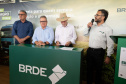 brde