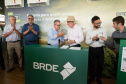 brde
