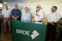 brde