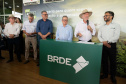 brde